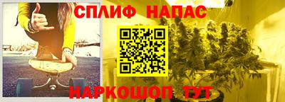 бошки Шелехов