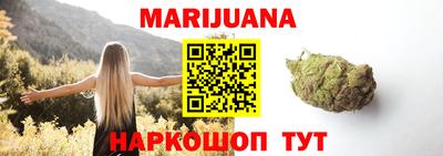бошки Шелехов