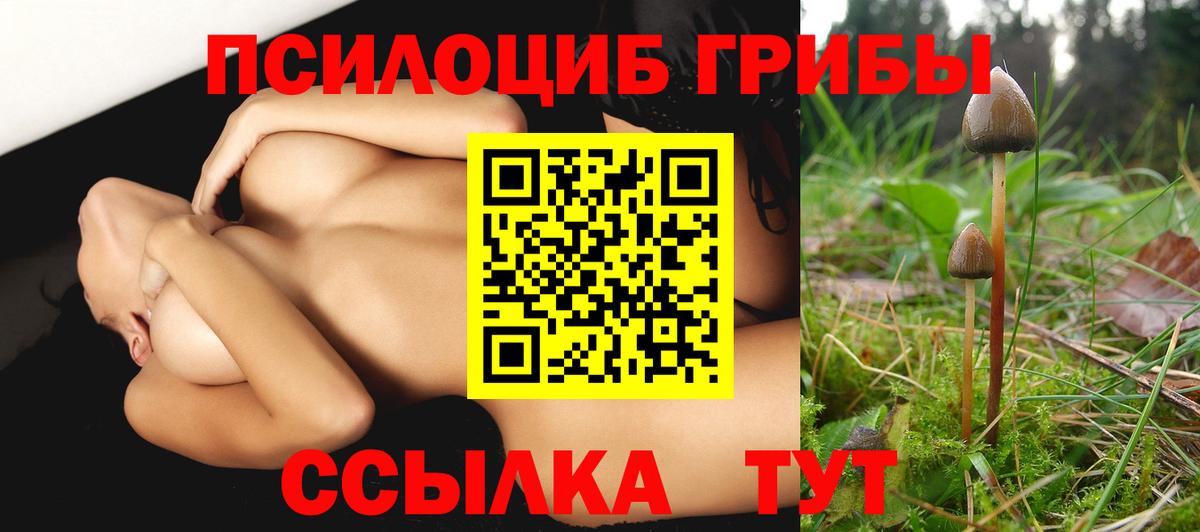 Бузулук  Галлюциногенные грибы Psilocybe  Вход с VPN 