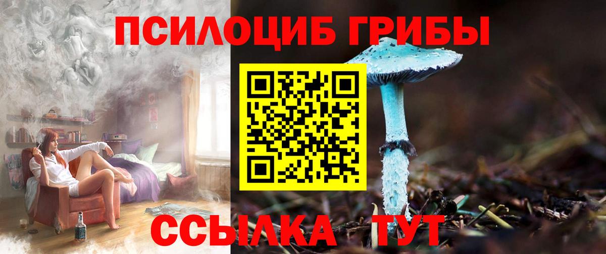 Псилоцибиновые грибы прущие грибы Бузулук